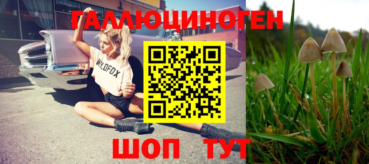 Челябинск  Галлюциногенные грибы мухоморы  Вход с VPN 